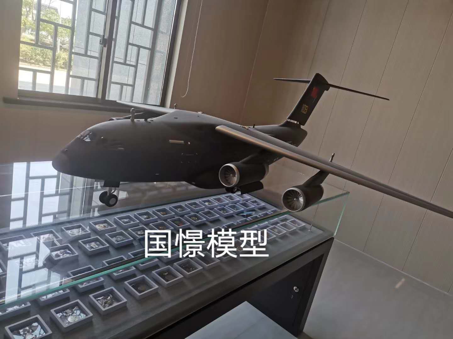 邳州市飞机模型